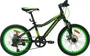 Велосипед Nameless 20" J2200D, черный/зеленый, 12" (2020) универс. рама