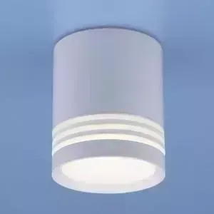 Потолочный светодиодный светильник Elektrostandard 4690389127878
