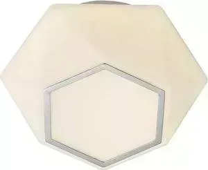 Потолочный светодиодный светильник ST-Luce SL558.502.01