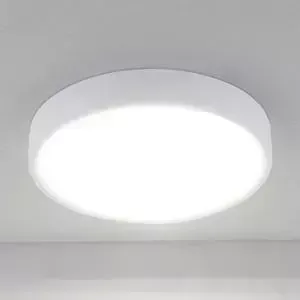 Потолочный светодиодный светильник Elektrostandard 4690389134609