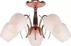 Люстра Imex потолочная MD.0576-5-S PGD 5*60Вт E27