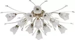 Люстра MW-LIGHT MW-Light 294016213