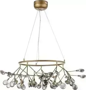 Подвесная люстра ST-Luce SL411.243.45