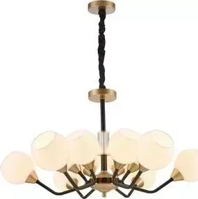 Подвесная люстра Favourite 2550-12P