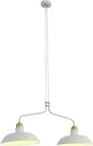 Подвесная люстра ST-Luce SL323.503.02