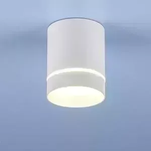 Потолочный светодиодный светильник Elektrostandard 4690389102981