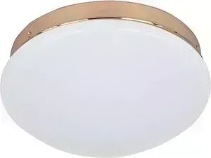 Потолочный светодиодный светильник F-Promo 2465-1C