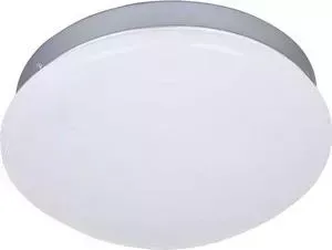 Потолочный светодиодный светильник F-Promo 2467-1C