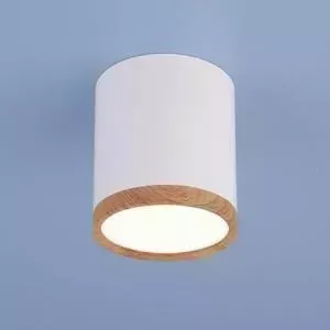 Потолочный светодиодный светильник Elektrostandard 4690389121951