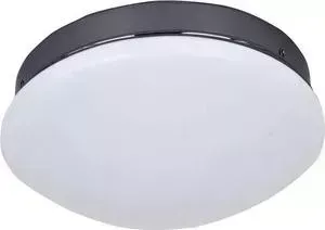 Потолочный светодиодный светильник F-Promo 2468-1C