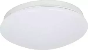 Потолочный светодиодный светильник F-Promo 2469-2C