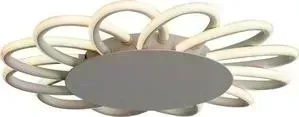 Потолочный светодиодный светильник ST-Luce SL828.502.12
