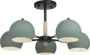 Потолочная люстра Freya FR5032CL-05B