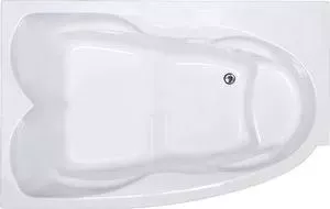 Акриловая ванна Royal Bath Shakespeare 170x110 с каркасом, левая (RB652100K-L)