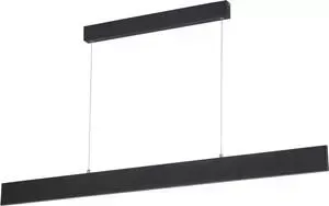 Подвесной светодиодный светильник ARTELAMP Arte Lamp A2505SP-2BK