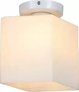 Потолочный светильник ST-Luce SL548.501.01