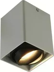 Потолочный светильник ARTELAMP A5655PL-1WH