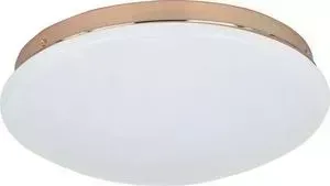 Потолочный светодиодный светильник F-Promo 2465-2C
