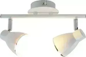 Светодиодный спот ARTELAMP A6008PL-2WH