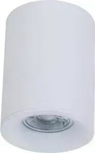 Потолочный светильник Maytoni C012CL-01W