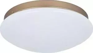 Потолочный светодиодный светильник F-Promo 2466-2C