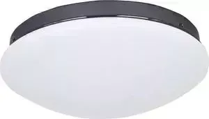 Потолочный светодиодный светильник F-Promo 2468-2C