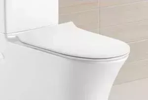 Сиденье для унитаза BELBANGO Deluca Slim с микролифтом, быстросъемное (BB2011SC)