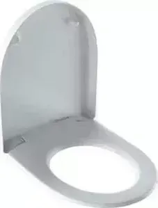 Сиденье для унитаза Geberit Icon SoftClose (500.670.01.1)