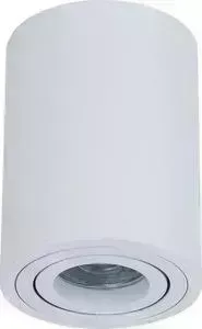 Потолочный светильник Maytoni C016CL-01W
