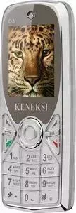 Мобильный телефон KENEKSI Q3
