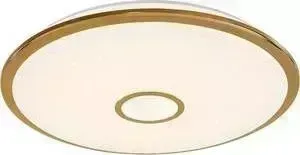 Потолочный светодиодный светильник Citilux CL703102R