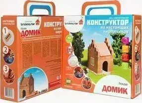Конструктор Brickmaster Домик 99 деталей (302)