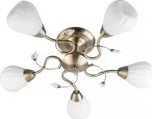 Потолочная люстра Toplight TL3570X-05AB