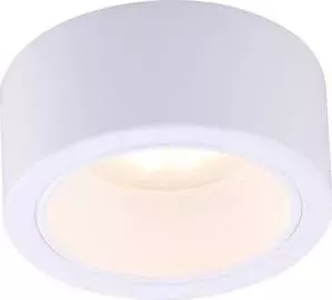 Потолочный светильник ARTELAMP A5553PL-1WH