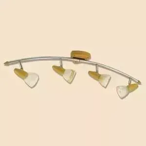 Спот Citilux CL505541