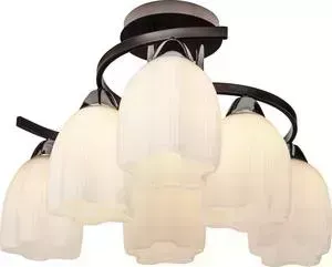 Потолочная люстра Silver Light Meduse 102.59.6