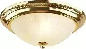 Потолочный светильник ARTELAMP A3013PL-2GO