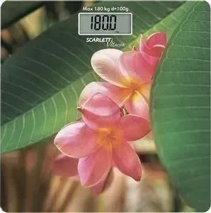 Весы SCARLETT SC-BS33E040