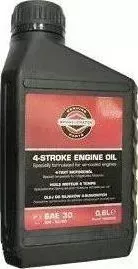 Масло Briggs and Stratton 4-х тактное SAE 30 0.6л. (100005E)