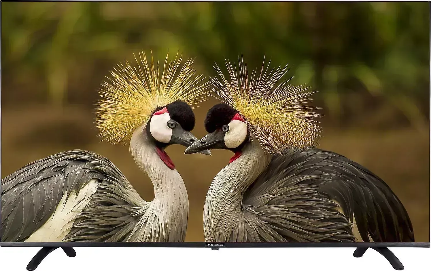 Телевизор  SLT43SU7500