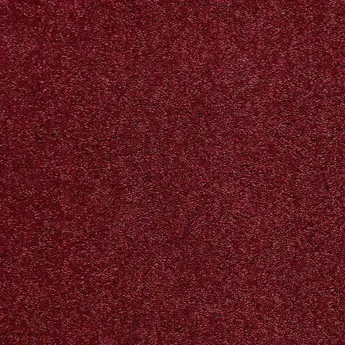 Ковролин Синтерос by Tarkett одноуровневый разрезной ворс Frivola 017