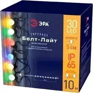 Гирлянда ЭРА Уличная светодиодная Белт Лайт 220V мультиколор ERABL-MK10 Б0047955