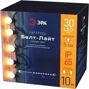 Гирлянда ЭРА Уличная светодиодная Белт Лайт 220V теплый свет ERABL-WS10 Б0047954