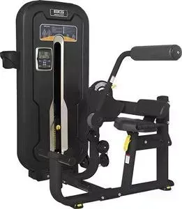 Разгибание спины Bronze Gym MZM-009