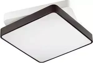 Светильник Lumion Потолочный светодиодный Agatha 4511/72CL
