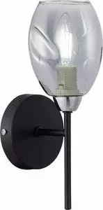 Бра Evoluce Gloa SLE155511-01
