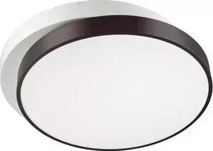 Светильник Lumion Потолочный светодиодный Agatha 4509/72CL