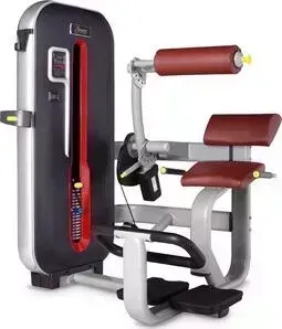 Разгибание спины Bronze Gym MT-009 коричневый