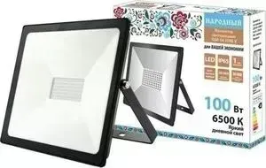 Прожектор светодиодный TDM ELECTRIC СДО-04-100 Н-У 100 Вт, 6500 К, IP65, черный, Народный