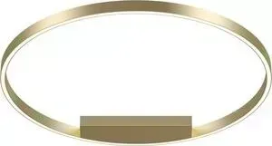 Светильник Maytoni Потолочный светодиодный Rim MOD058CL-L50BS4K